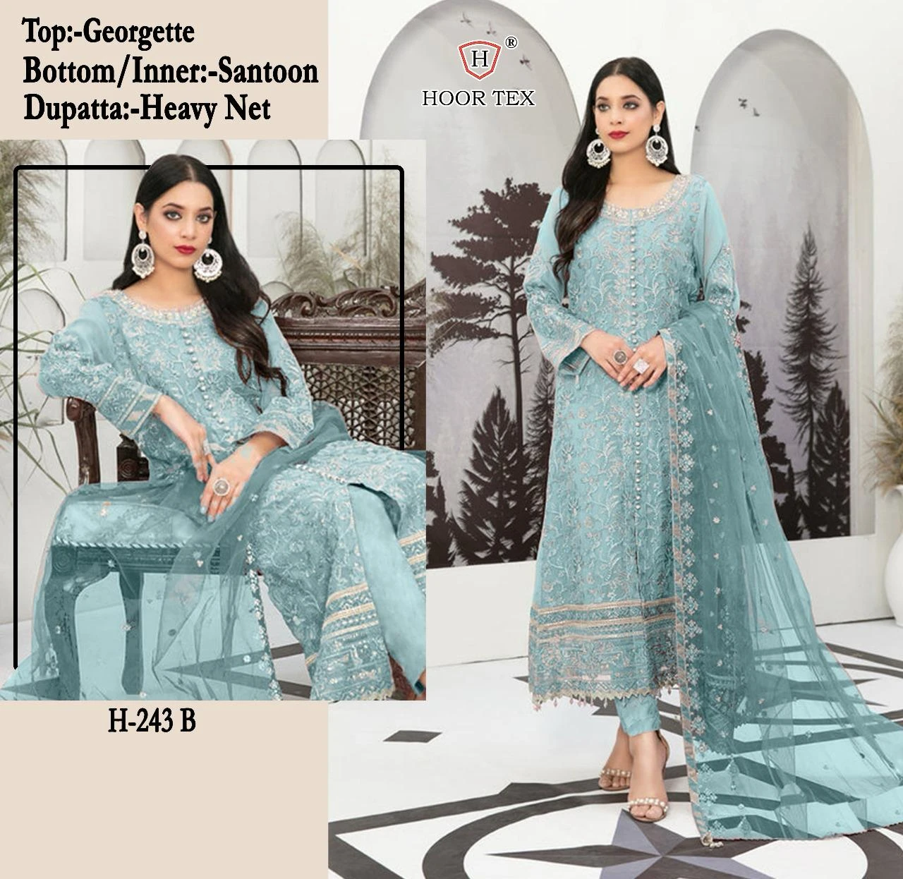 Hoor Tex H-243 Faux Georgette Wholesale Pakistani Salwar Suit Catalog — Wholesale Pakistani Suits, MPA wholesale from Surat - Gallery Image 6